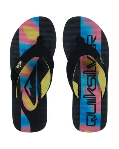 Quiksilver Ανδρικές Παντόφλες Molokai Layback EQYL100093-KVJ6 Multi