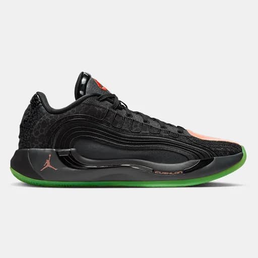 Jordan Luka 4 "Safari" Ανδρικά Μπασκετικά Παπούτσια (9000231955_86037)