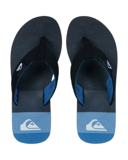 Quiksilver Ανδρικές Παντόφλες Molokai Layback EQYL100093-CVJ7 Multi