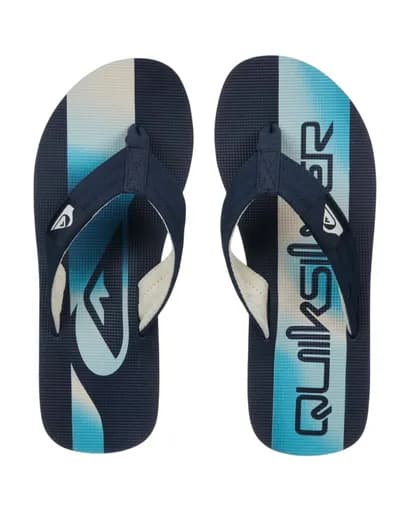 Quiksilver Ανδρικές Παντόφλες Molokai Layback EQYL100093-BKJ6 Multi