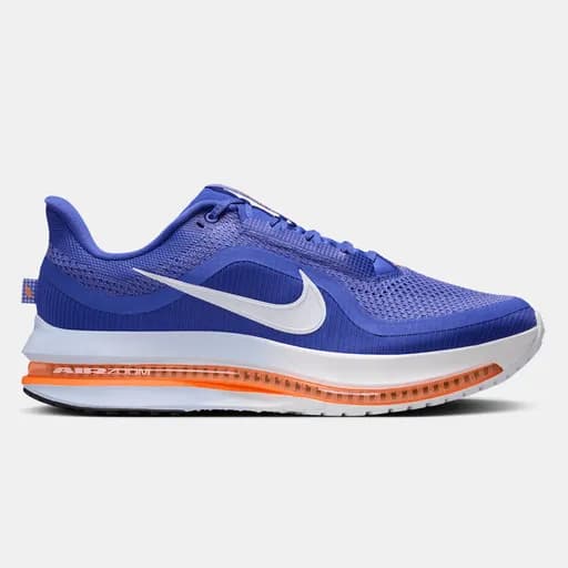 Nike Pegasus Premium Ανδρικά Παπούτσια για Τρέξιμο (9000257687_90798)