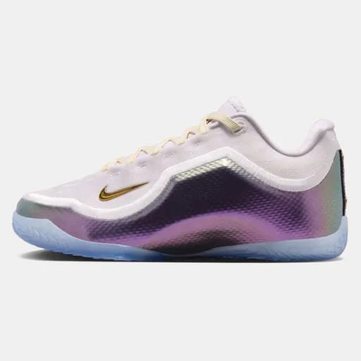 Nike Lebron 23 "Elite for the Record" Ανδρικά Παπούτσια (9000257644_17605)
