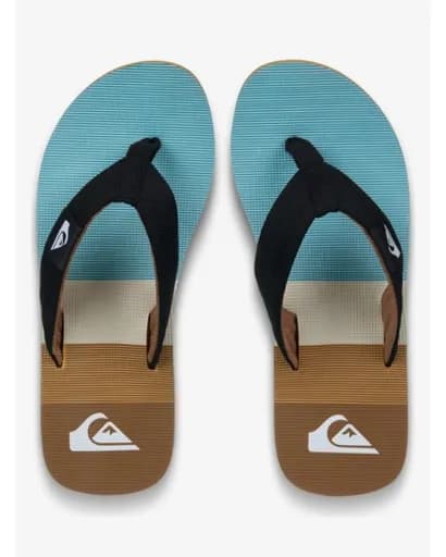 Quiksilver Ανδρικές Παντόφλες Molokai Layback EQYL100093-CMK6 Multi