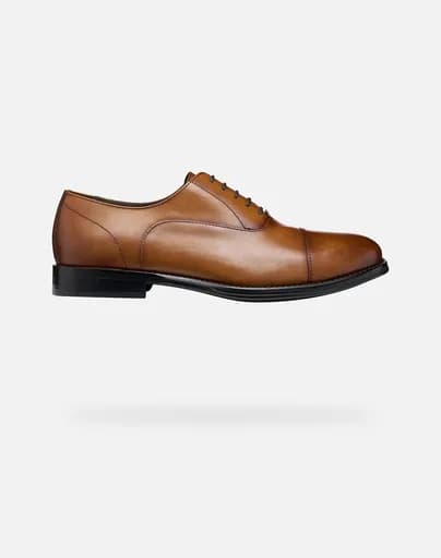 GEOX U BARBERIGO U56MBD00043C6610-C6610 Brown