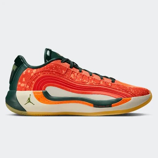 Jordan Luka 4 "Gone Camping" Ανδρικά Μπασκετικά Παπούτσια (9000231957_85873)