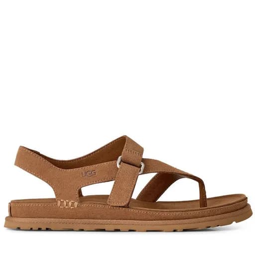 Γυναικεία GoldenGaze Toe Post Σανδάλια Ταμπά UGG 1175134-CHE