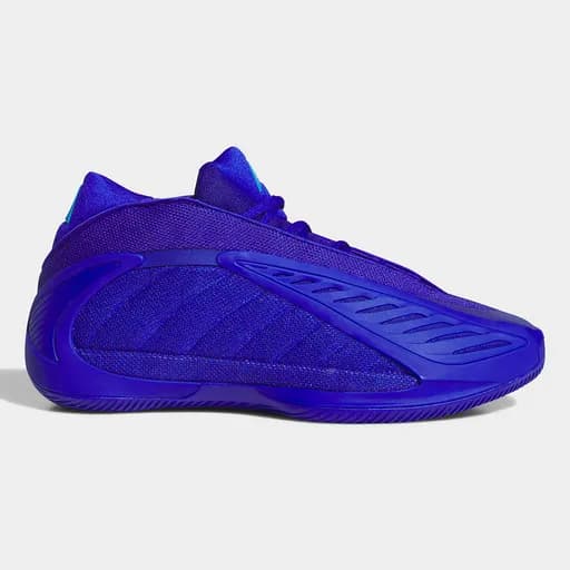 adidas Anthony Edwards 2 (9000260911_91803)