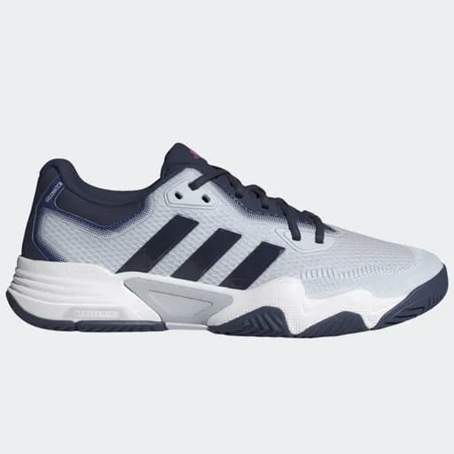 Ανδρικά παπούτσια τένις adidas Solematch Control 2