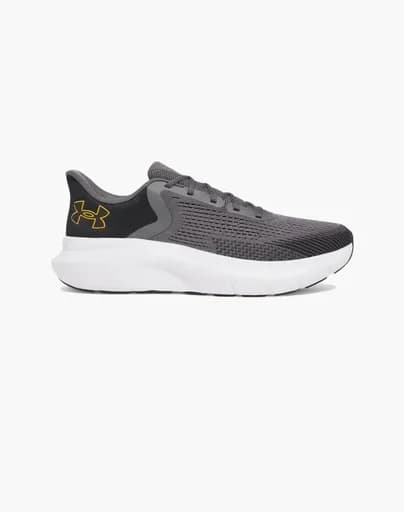 UNDER ARMOUR UA Charged Rogue 5 3028256-025 Gray