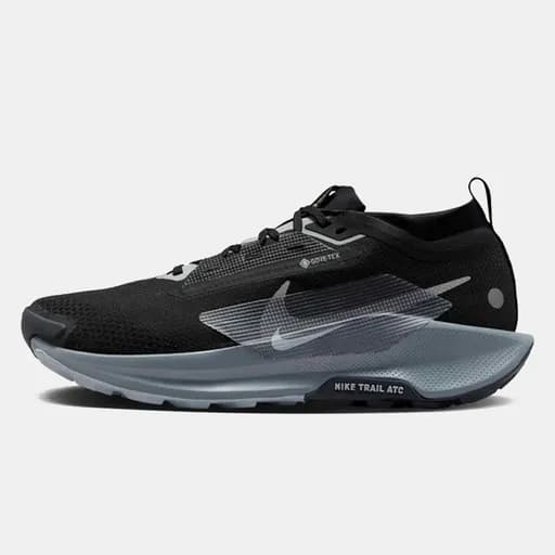 Nike Pegasus 5 Gore-Tex Ανδρικά Trail Παπούτσια (9000234398_78807)