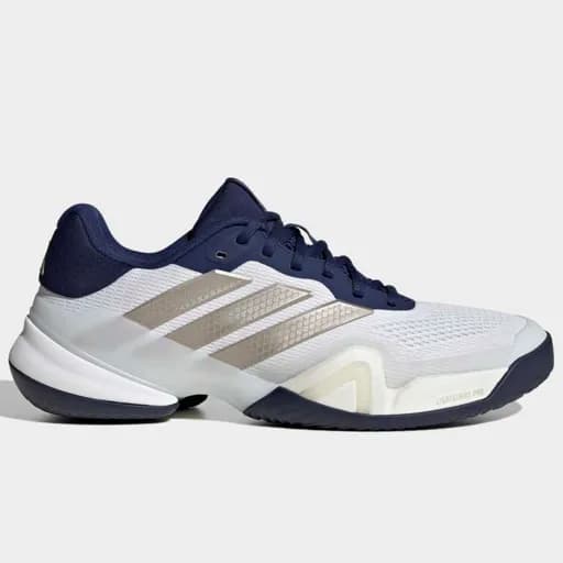 Ανδρικά παπούτσια τένις adidas Barricade 14